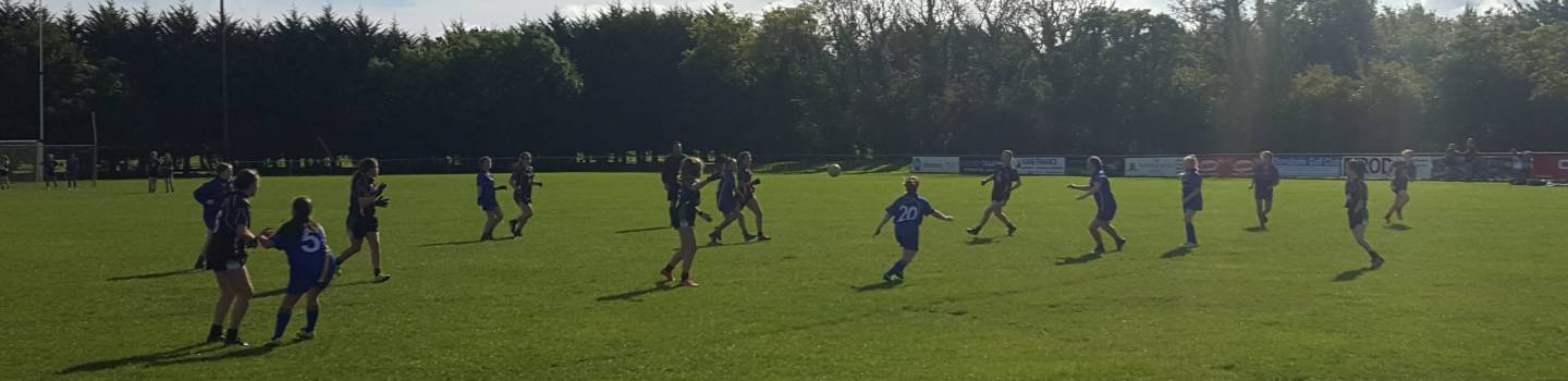 Ladies Gaelic Football 2017/18